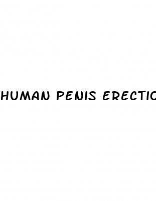 human penis erection gif