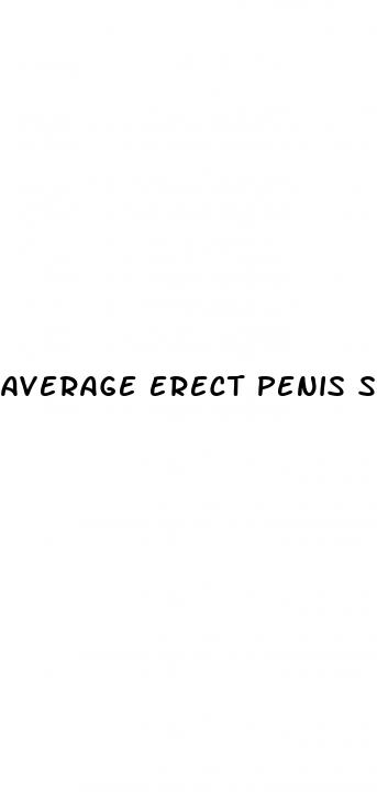 average erect penis size in america