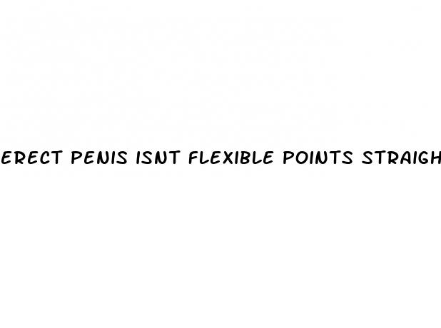 erect penis isnt flexible points straight up