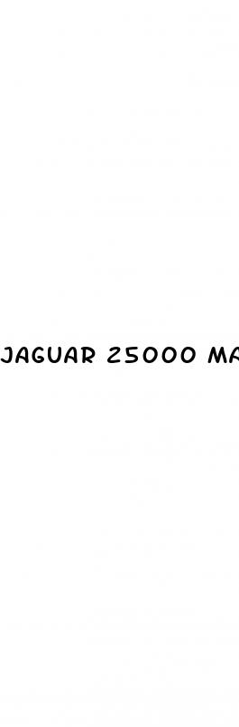 jaguar 25000 male enhancement