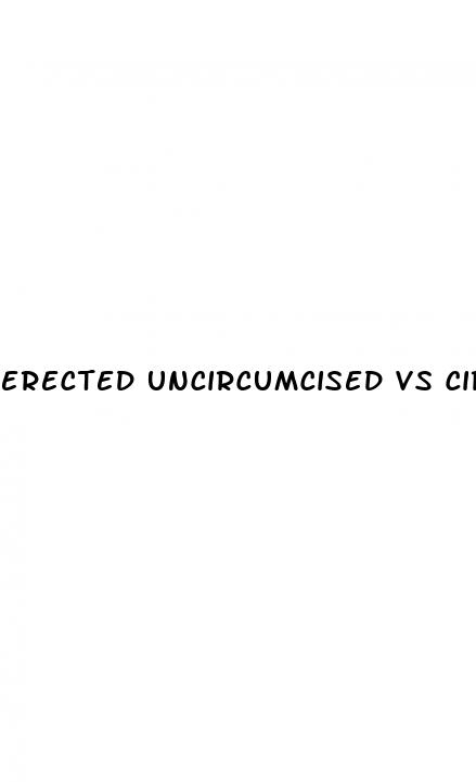 erected uncircumcised vs circumsised penis