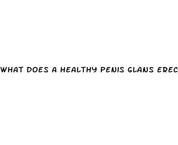 what does a healthy penis glans erect