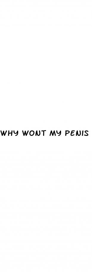 why wont my penis stay erect