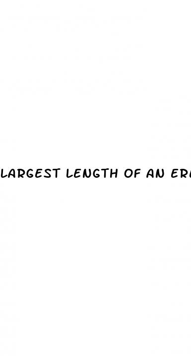 largest length of an erect penis