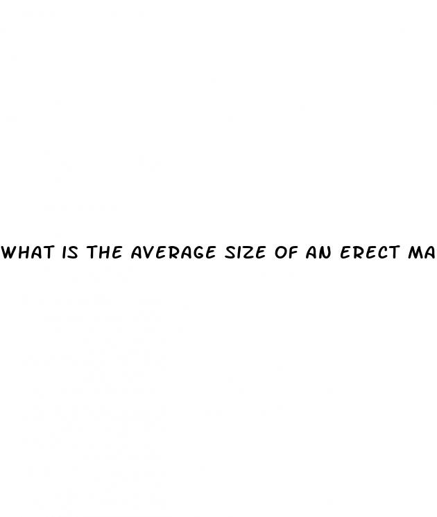 what is the average size of an erect mans penis