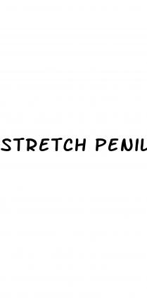 stretch penile suspensory ligament