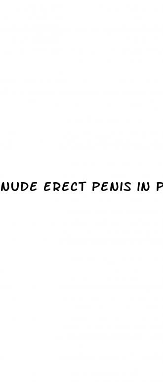 nude erect penis in pussy