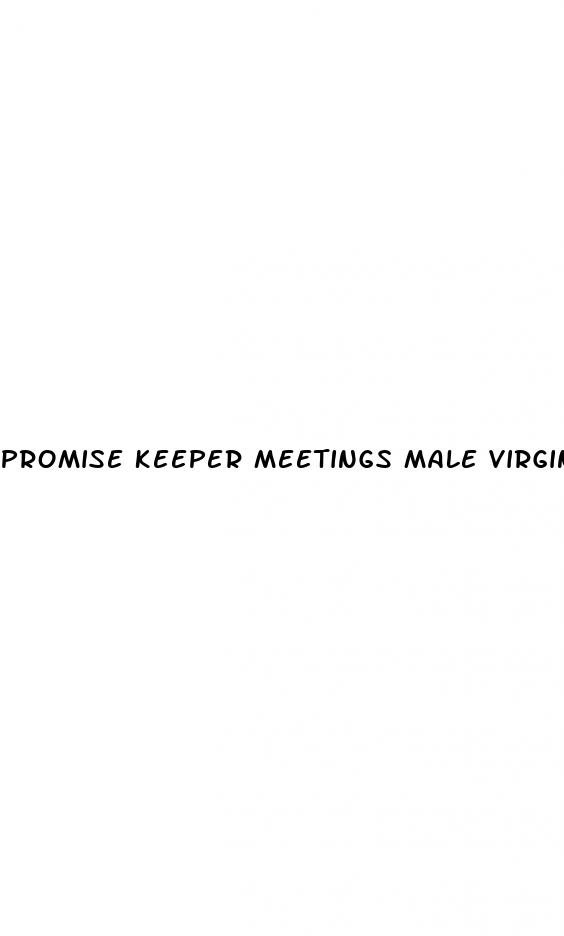 promise keeper meetings male virginity erect penis