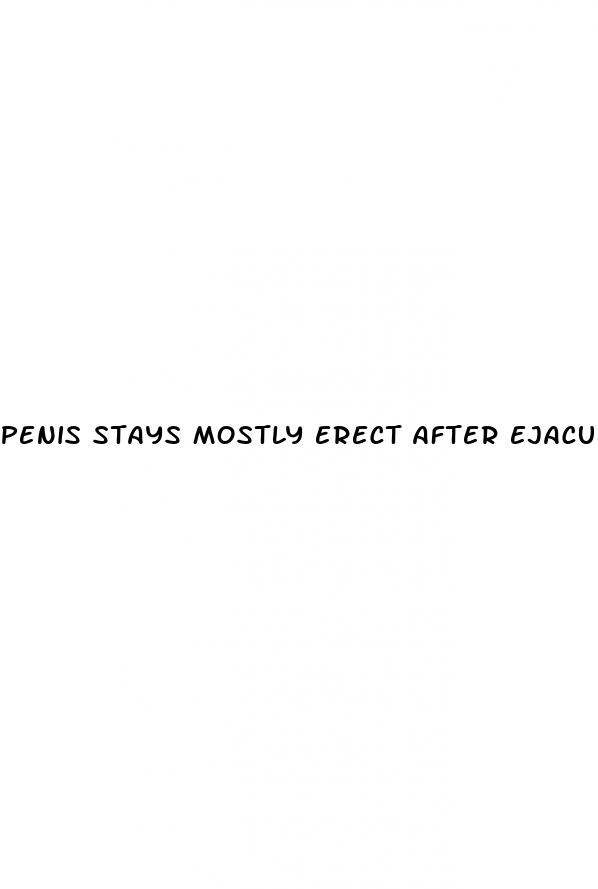 penis stays mostly erect after ejaculation
