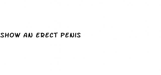 show an erect penis
