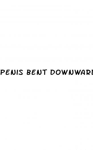penis bent downward when erect