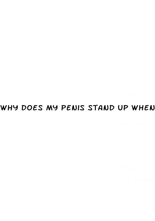 why does my penis stand up when erect