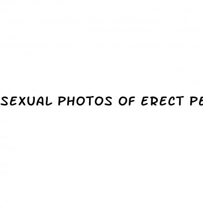 sexual photos of erect penis