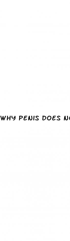 why penis does not erect