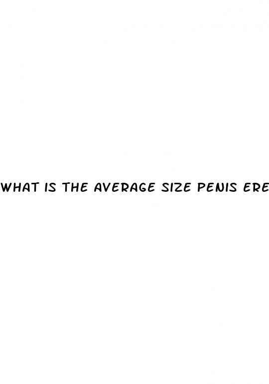 what is the average size penis erect