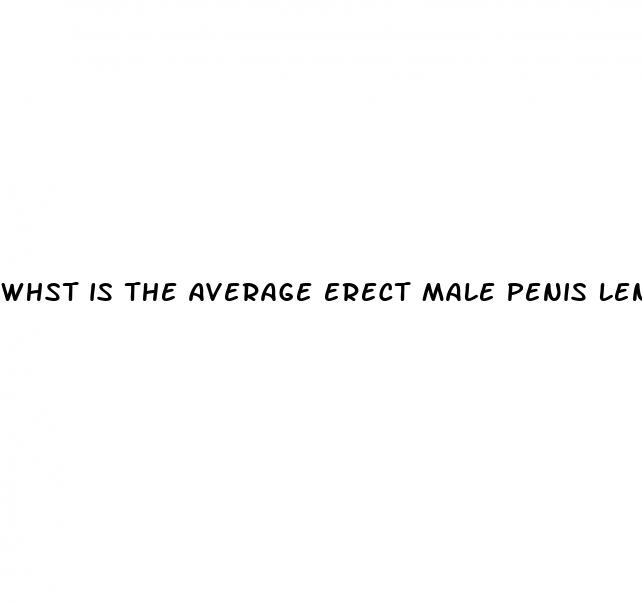 whst is the average erect male penis length in america