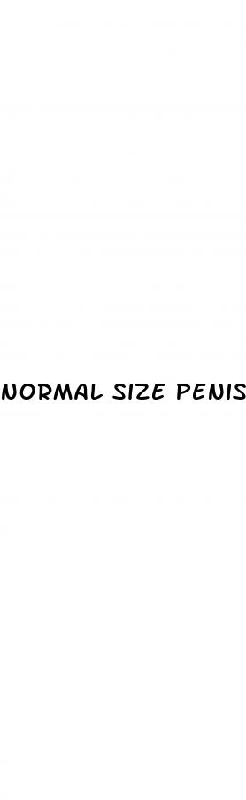 normal size penis asian men with erection