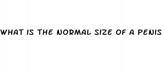 what is the normal size of a penis