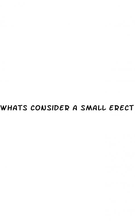 whats consider a small erect penis
