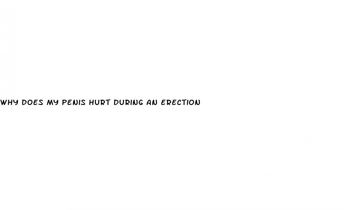 why does my penis hurt during an erection