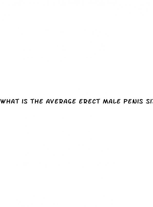 what is the average erect male penis size