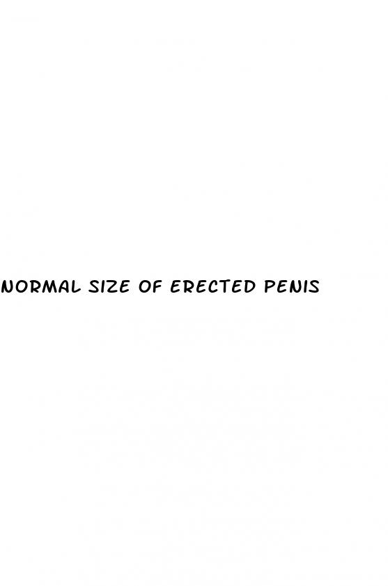 normal size of erected penis