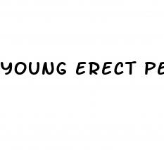 young erect penis porn