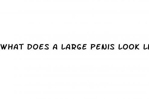 what does a large penis look like