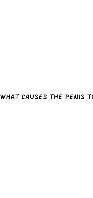 what causes the penis to enlarge during puberty