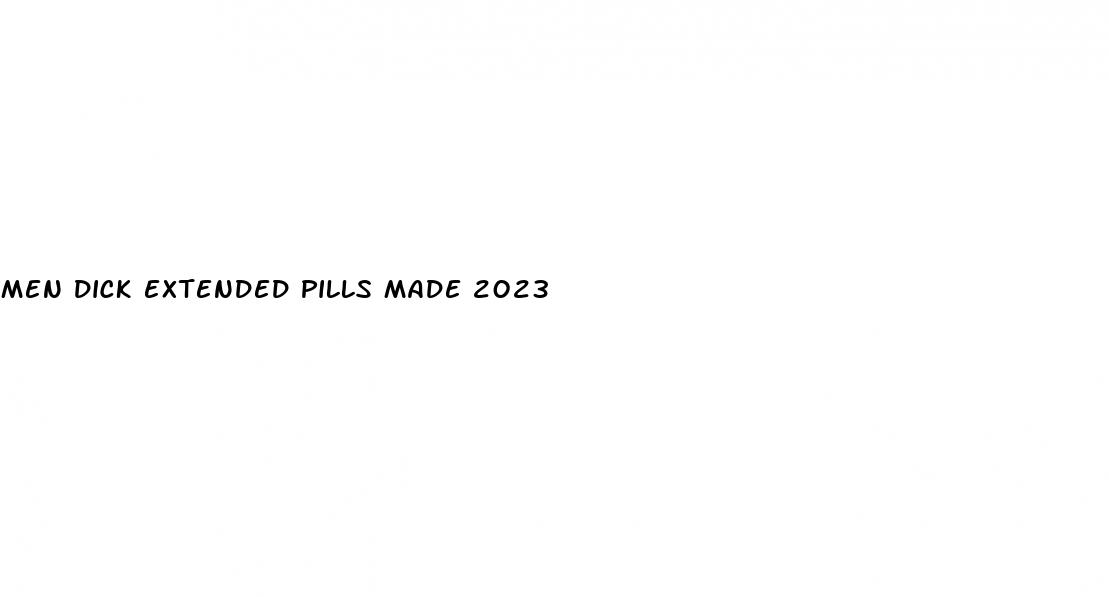 men dick extended pills made 2023