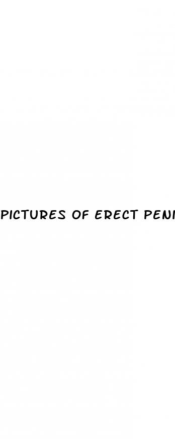 pictures of erect penis entering vagina