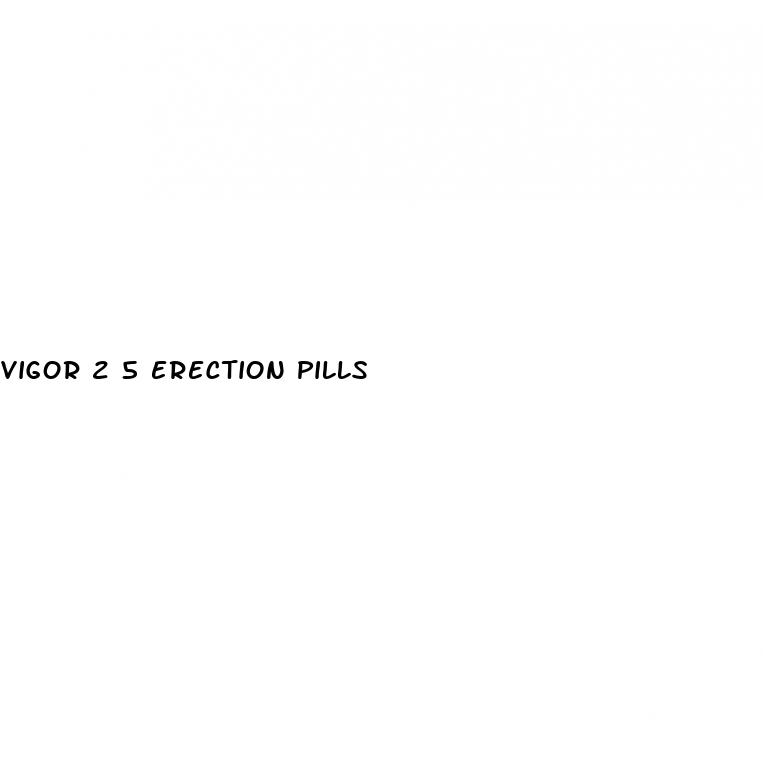 vigor 2 5 erection pills