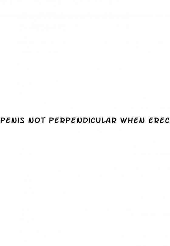 penis not perpendicular when erect