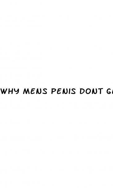 why mens penis dont get as erect