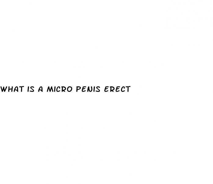 what is a micro penis erect