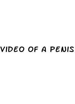 video of a penis erection