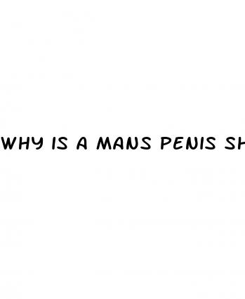 why is a mans penis shaped the way it is