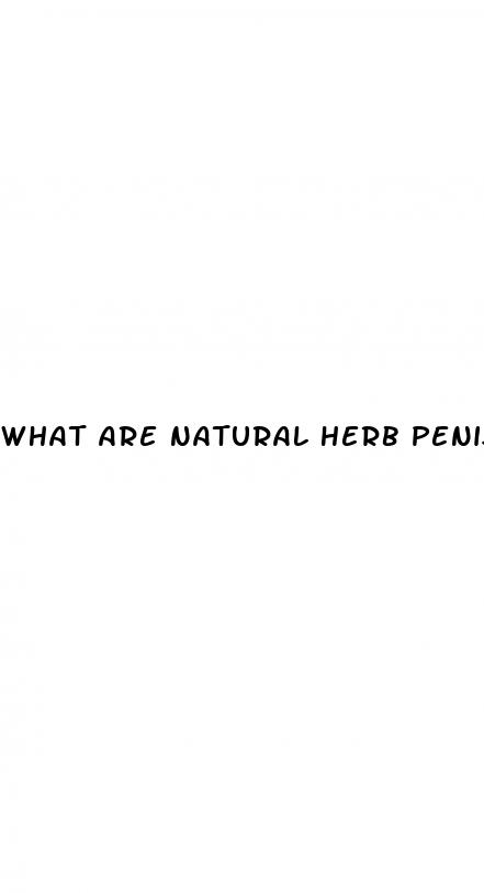 what are natural herb penis enlargements