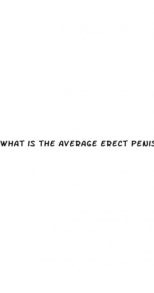 what is the average erect penis