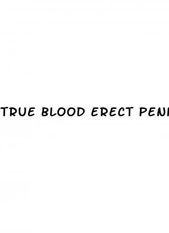true blood erect penis