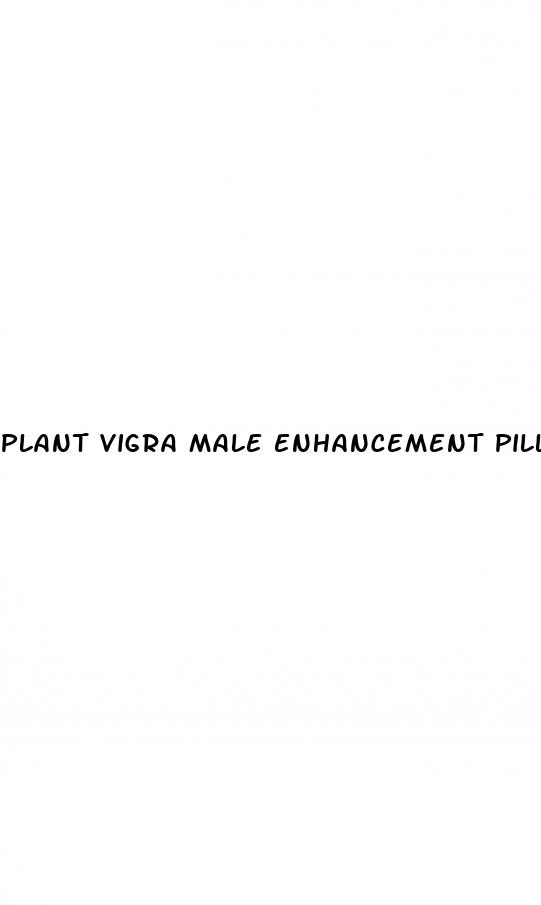 plant vigra male enhancement pills