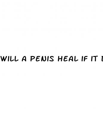 will a penis heal if it doesn t fully erect