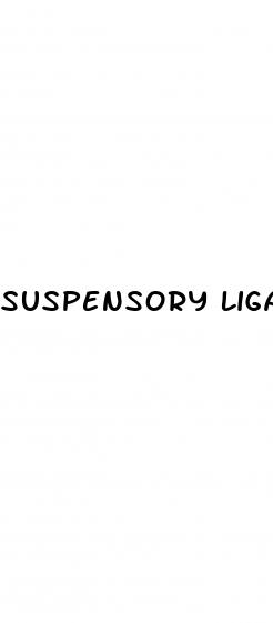 suspensory ligament surgery review