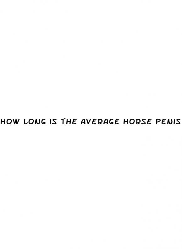 how long is the average horse penis when erect