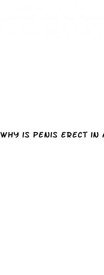 why is penis erect in anatomically correct man