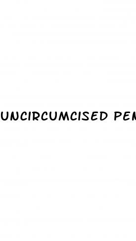 uncircumcised penis erect cum