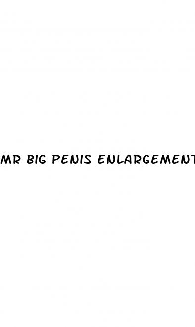 mr big penis enlargement pills