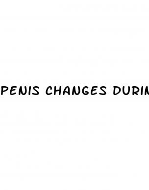 penis changes during erection