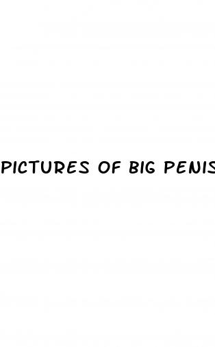 pictures of big penisis