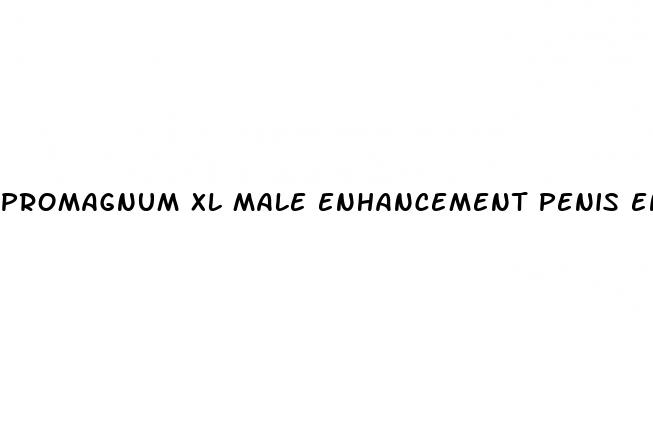 promagnum xl male enhancement penis enlargement pills at